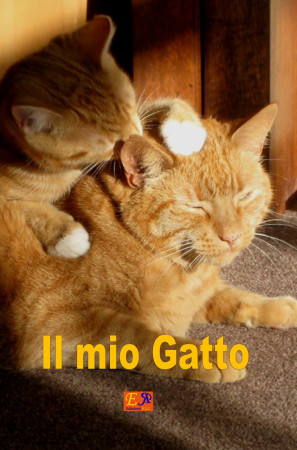 Il Mio Gatto